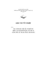 Báo chí trong việc bảo vệ phát huy những giá trị truyền thống tốt đẹp và chống tiêu cực trong lễ hội chùa hương