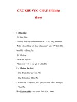 Giáo án Địa Lý 7 : Tên bài dạy : CÁC KHU VỰC CHÂU PHI(tiếp theo) pptx