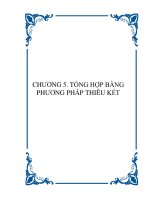 CHƯƠNG 5. TỔNG HỢP BẰNG PHƯƠNG PHÁP THIÊU KẾT ppsx