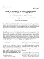 Báo cáo lâm nghiệp: 