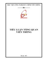 BÀI TIỂU LUẬN MẠNG VIỄN THÔNG docx