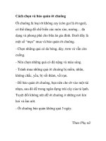 Cách chọn và bảo quản ớt chuông potx