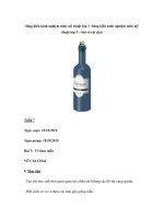 Sáng kiến kinh nghiệm môn mỹ thuật lớp 3 -Sáng kiến kinh nghiệm môn mỹ thuật lớp 3 – bài vẽ cái chai pdf