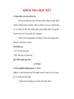 Giáo án Địa lý lớp 9 : Tên bài dạy : KIỂM TRA HỌC KÌ I ppt