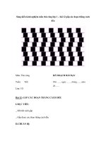 Sáng kiến kinh nghiệm môn thủ công lớp 1 – bài 12 gấp các đoạn thẳng cách đều pdf