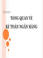 CHƯƠNG 1 TỔNG QUAN VỀ KẾ TOÁN NGÂN HÀNG pot