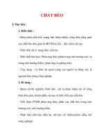 Giáo án Hóa học lớp 9 : Tên bài dạy : CHẤT BÉO pdf