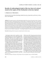 Báo cáo lâm nghiệp: 