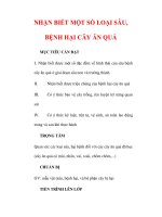 Giáo án Công nghệ lớp lớp 9 : Tên bài dạy : NHẬN BIẾT MỘT SỐ LOẠI SÂU, BỆNH HẠI CÂY ĂN QUẢ pptx