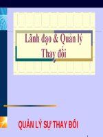 Bài giảng: Quản lý sự thay đổi pdf