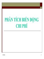 PHÂN TÍCH BIẾN ĐỘNG CHI PHÍ potx