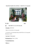 Sáng kiến kinh nghiệm môn tự nhiên lớp 1 – nhận biết các vật xung quanh potx