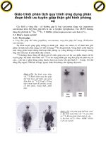 Giáo trình phân tích quy trình ứng dụng phân đoạn khối ưu tuyến giáp thận ghi hình phóng xạ p1 docx