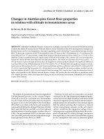 Báo cáo lâm nghiệp: 