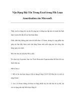 Vận Dụng Đặt Tên Trong Excel trong File Loan Amortisation của Microsoft pot