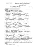 ĐỀ KIỂM TRA GIỮA KỲ I NĂM HỌC 2010 - 2011 MÔN TIẾNG ANH LỚP: 11 - Mã đề thi 316 pps