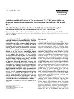 Báo cáo khoa học: 