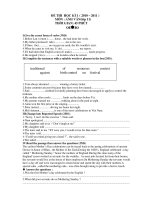 ĐỀ THI HỌC KÌ I ( 2010 – 2011 ) MÔN : ANH VĂN (lớp 11) pptx