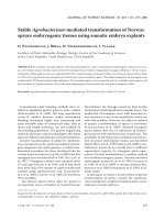 Báo cáo lâm nghiệp: 