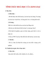 Giáo án Hóa học lớp 9 : Tên bài dạy : TÍNH CHẤT HOÁ HỌC CỦA KIM LOẠI pptx