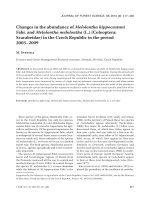 Báo cáo lâm nghiệp: 