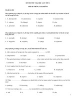 ĐỀ THI THỬ ĐẠI HỌC LẦN THỨ I Môn thi: TIẾNG ANH Mã đề thi 365 doc
