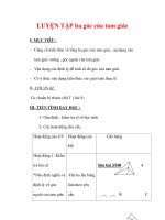 Giáo án môn Toán lớp 7 : Tên bài dạy : LUYỆN TẬP ba góc của tam giác pps