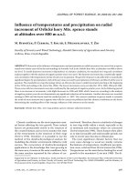 Báo cáo lâm nghiệp: 