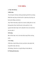 Giáo án Lịch sử lớp 7 : Tên bài dạy : VĂN HÓA ppt