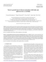 Báo cáo lâm nghiệp: 