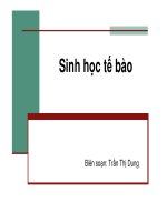 BÀI GIẢNG: SINH HỌC TẾ BÀO potx
