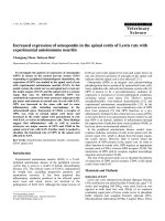 Báo cáo khoa học: 