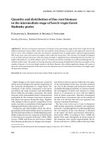 Báo cáo lâm nghiệp: 