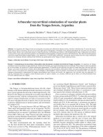 Báo cáo lâm nghiệp: 