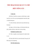 Giáo án Công nghệ lớp 7 : Tên bài dạy : THU HOẠCH BẢO QUẢN VÀ CHẾ BIẾN NÔNG SẢN pot