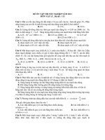 ĐỀ ÔN TẬP THI TỐT NGHIỆP NĂM 2011 MÔN VẬT LÍ _Mã đề : 113 potx