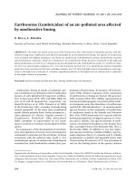 Báo cáo lâm nghiệp: 