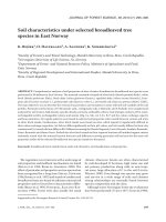 Báo cáo lâm nghiệp: 