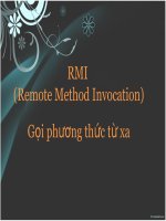 RMI (Remote Method Invocation) pps