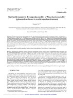 Báo cáo lâm nghiệp: 