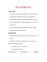 Giáo án môn Toán lớp 7 : Tên bài dạy : ÔN TẬP HỌC KỲ I ppt