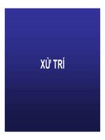 Bài giảng CHẨN ĐOÁN, XỬ TRÍ VÀ PHÒNG LÂY NHIỄM CÚM A (H5N1) Ở NGƯỜI part 7 pot