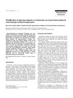 Báo cáo khoa học: 