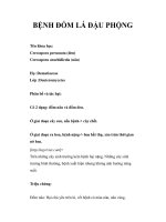 BỆNH ĐỐM LÁ ĐẬU PHỘNG ppsx