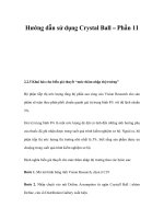 Hướng dẫn sử dụng Crystal Ball – Phần 11 ppt