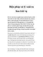 Biện pháp xử lý xoài ra hoa trái vụ potx