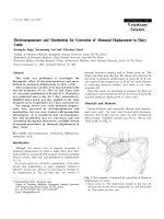 Báo cáo khoa học: 