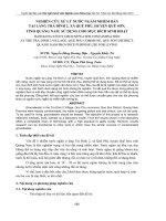 NGHIÊN CỨU XỬ LÝ NƢỚC NGẦM NHIỄM BẨN TẠI LÀNG TRÀ ĐÌNH 2, XÃ QUẾ PHÚ, HUYỆN QUẾ SƠN, TỈNH QUẢNG NAM SỬ DỤNG CHO MỤC ĐÍCH SINH HOẠT pptx