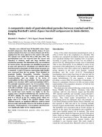 Báo cáo khoa học: 