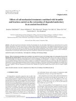 Báo cáo lâm nghiệp: 